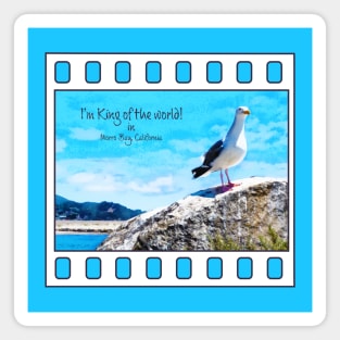 I'm King Of The World In Morro Bay California Magnet